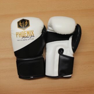 Boxing gloves